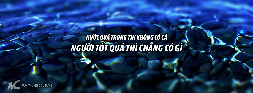 Nước trong quá thì không có cá, người khôn quá thì không có bạn Gallery 2