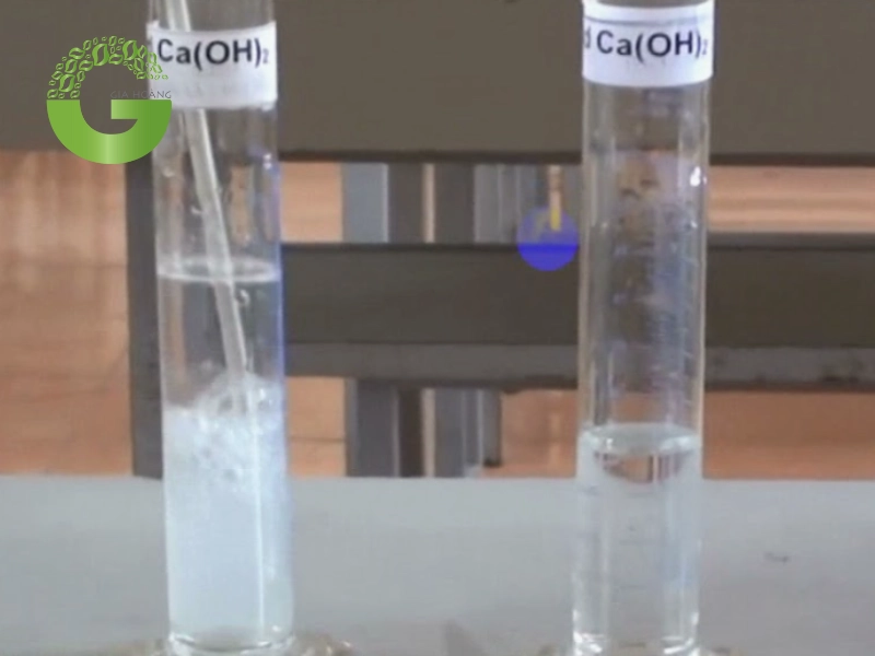 Nước vôi trong phản ứng với CO2 tạo thành kết tủa trắng CaCO3