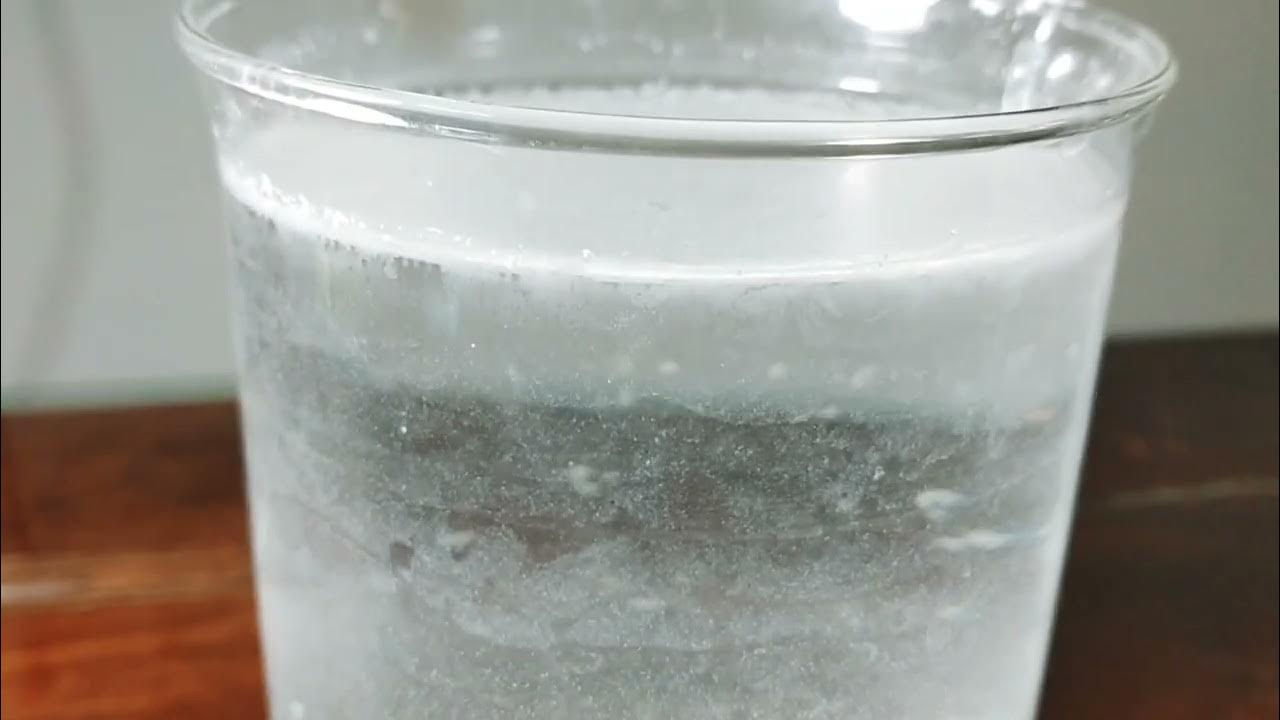 Nước vôi trong phản ứng với CO2 tạo thành kết tủa trắng CaCO3 Gallery 2