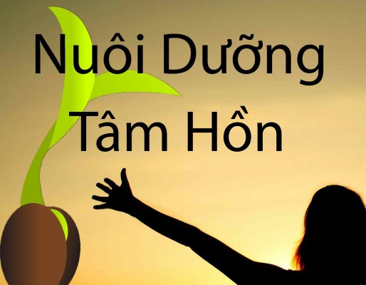 Nuôi Dưỡng Tâm Hồn Nơi Chính Bạn