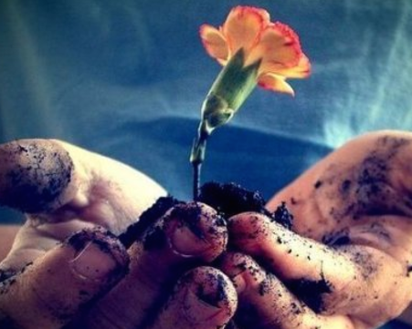 Tình Yêu Cuộc Sống Là Gì? Gallery 2