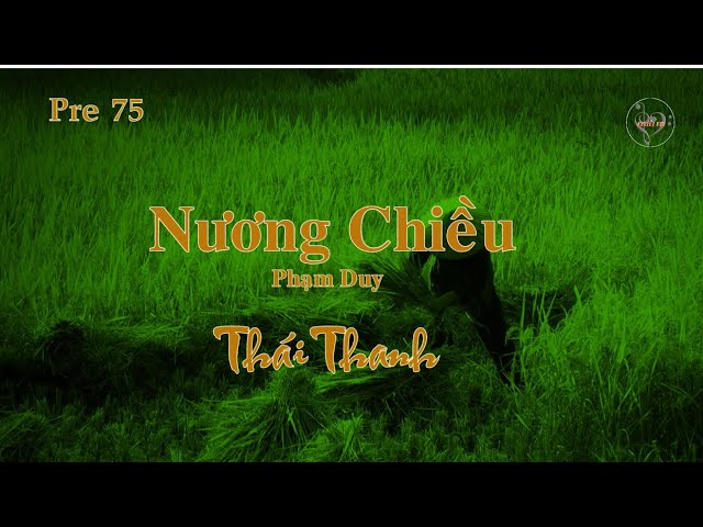 Nướng Chiếu: Khám Phá Nghệ Thuật Nướng Thơm Ngon
