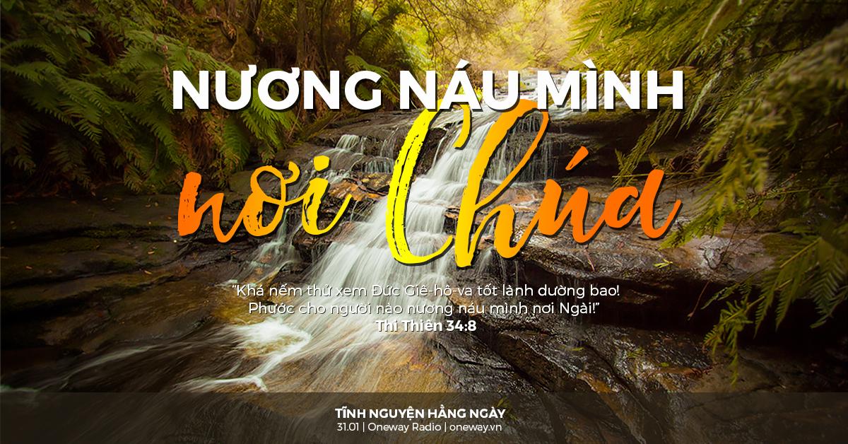 Nương Náu Là Gì?