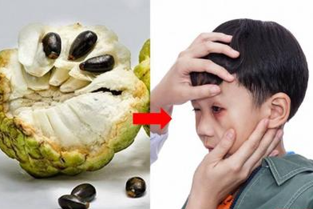 Nuốt phải hạt na có sao không?