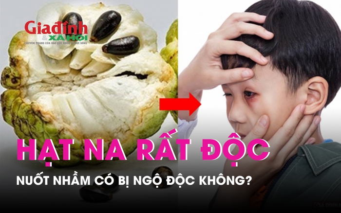 Nuốt phải hạt na có sao không? Gallery 2