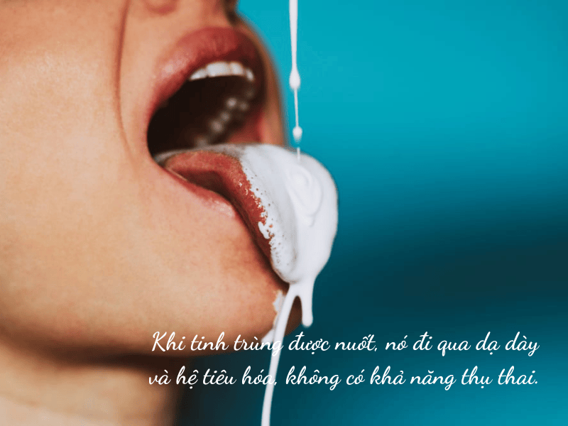 Nuốt tinh trùng có mang thai không?