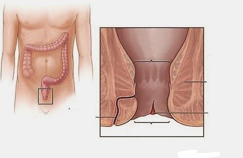 Nứt kẽ hậu môn dùng thuốc gì? Gallery 2