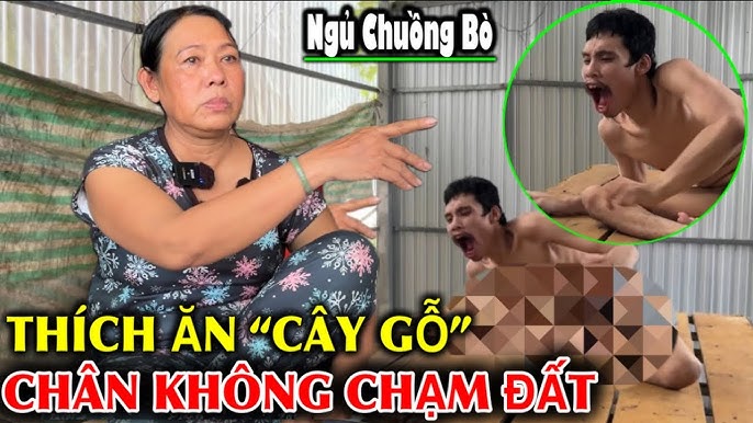 Ở Chuồng Là Gì?