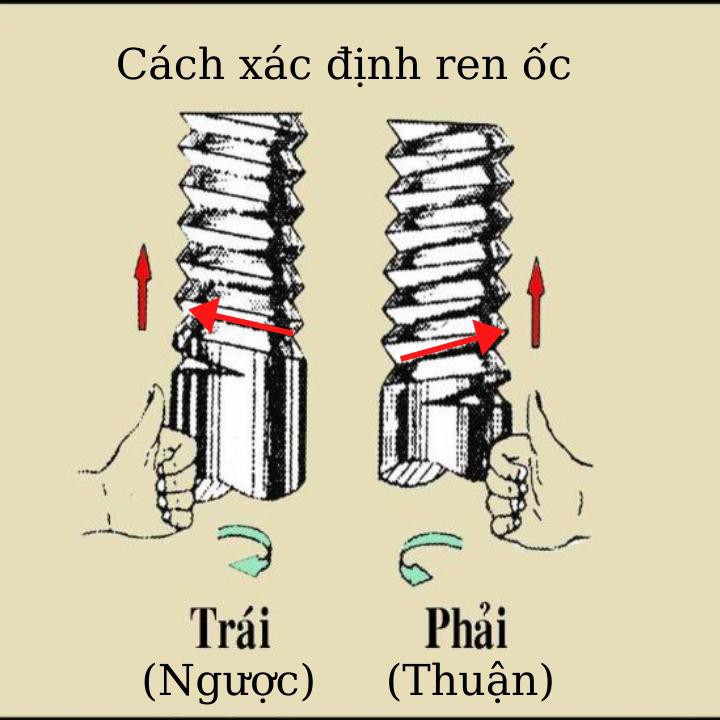 Ốc Chân Gương Thuận Nghịch Là Sao?