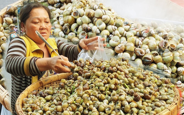 Ốc Luộc Cô Móm - Món Ăn Đơn Giản Mà Hấp Dẫn