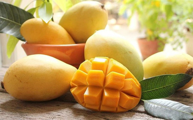 Ốm ăn xoài được không?