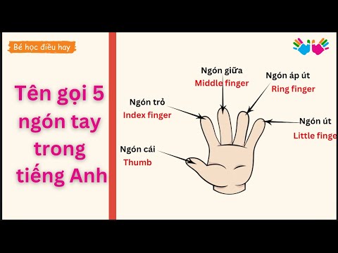 Index Finger in English Gallery 2