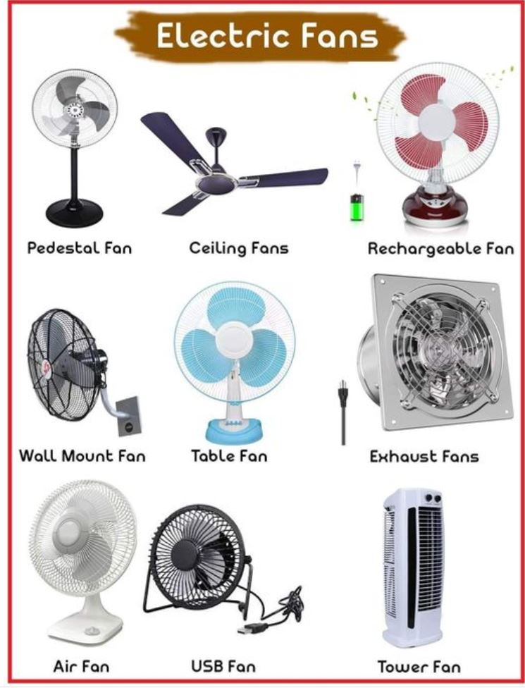 What is the English word for Fan? Gallery 2