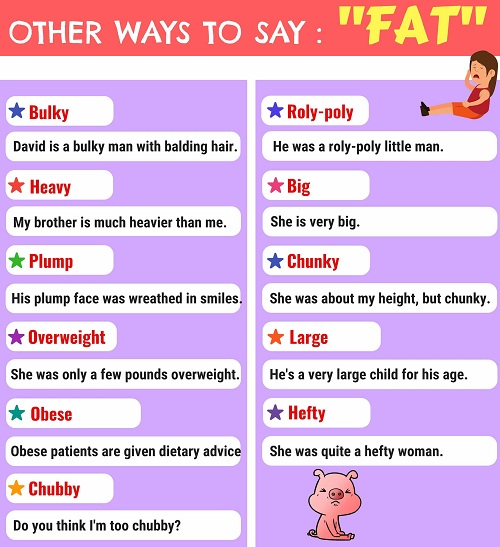 What is Chubby in English? Gallery 1