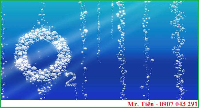 Oxit không tan trong nước là gì?