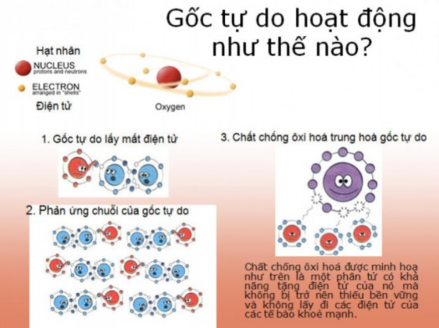 Oxy hóa là gì?