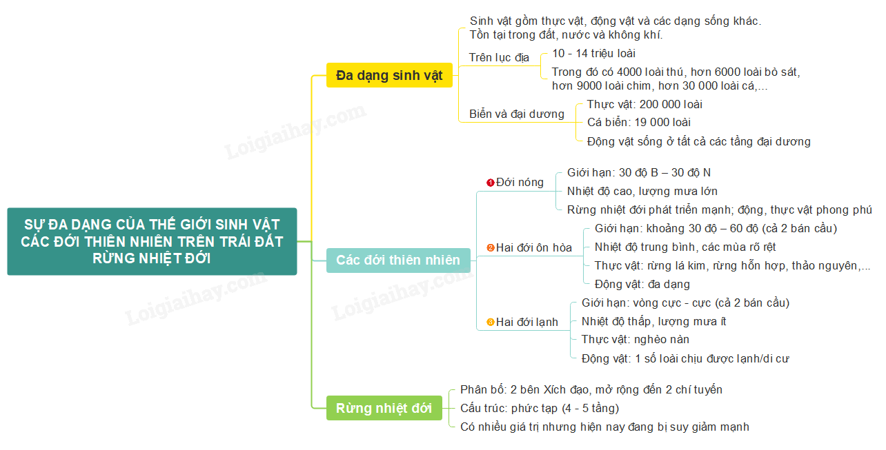 Thiên nhiên có nghĩa là gì? Gallery 2