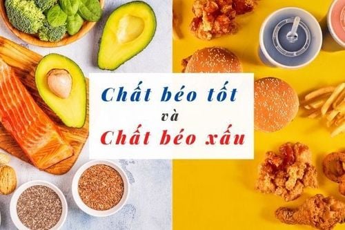 Chất béo có tác dụng gì? Gallery 2