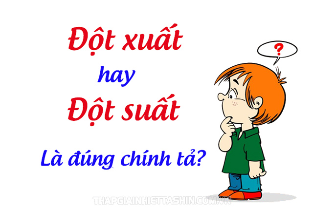 Đột Xuất Hay Đột Suất? Gallery 2
