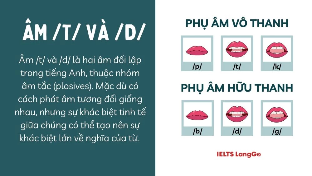 Cách phân biệt d và gi Gallery 1