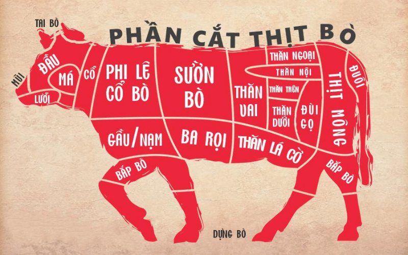 Gầu là phần nào của bò? Gallery 2