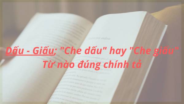 Giấu mặt hay dấu mặt? Gallery 1