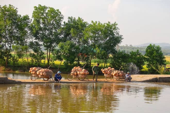 Không nỡ ăn hay không lỡ ăn? Gallery 1
