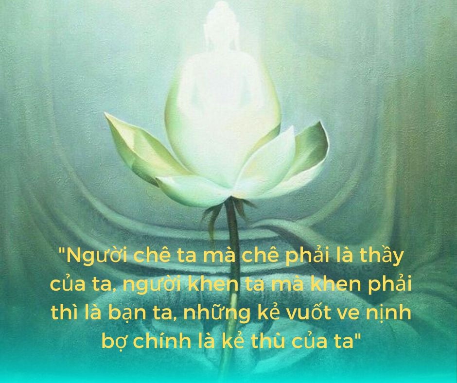 Người Chê Ta Mà Chê Phải Là Thầy Ta Gallery 2