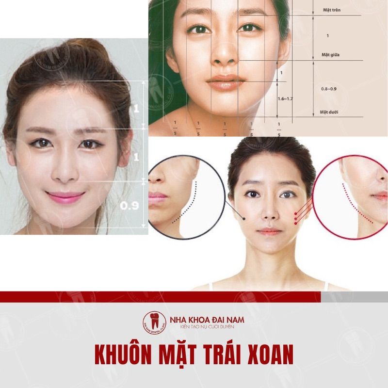 Mặt Trái Xoan Là Như Thế Nào? Gallery 2