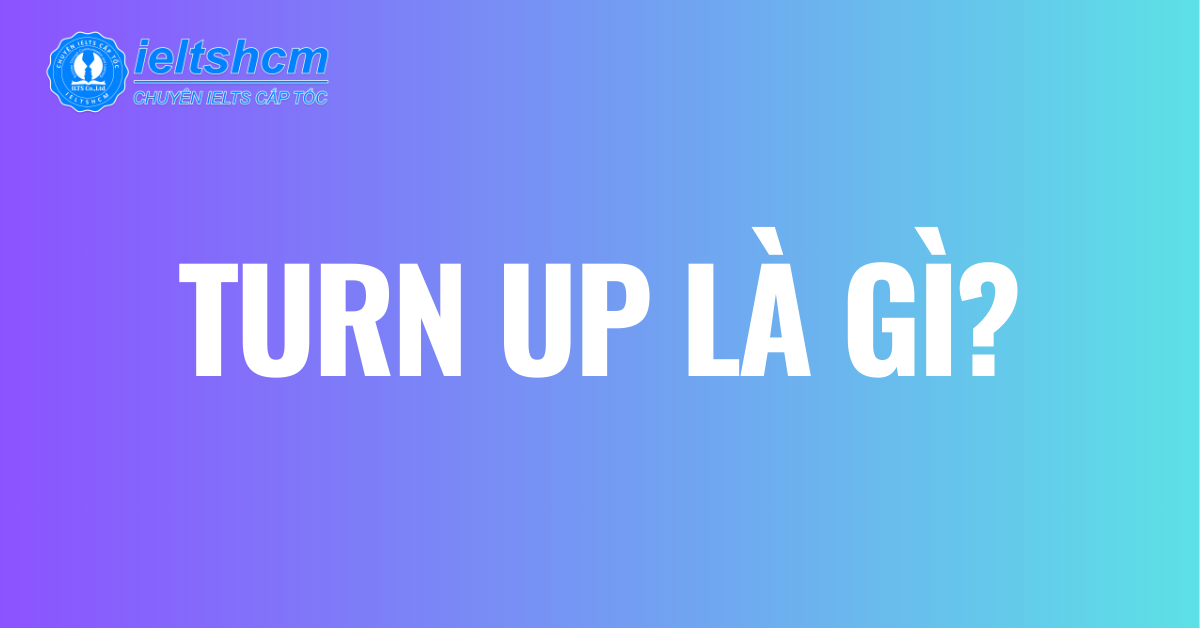 Turned Up Nghĩa Là Gì? Gallery 2