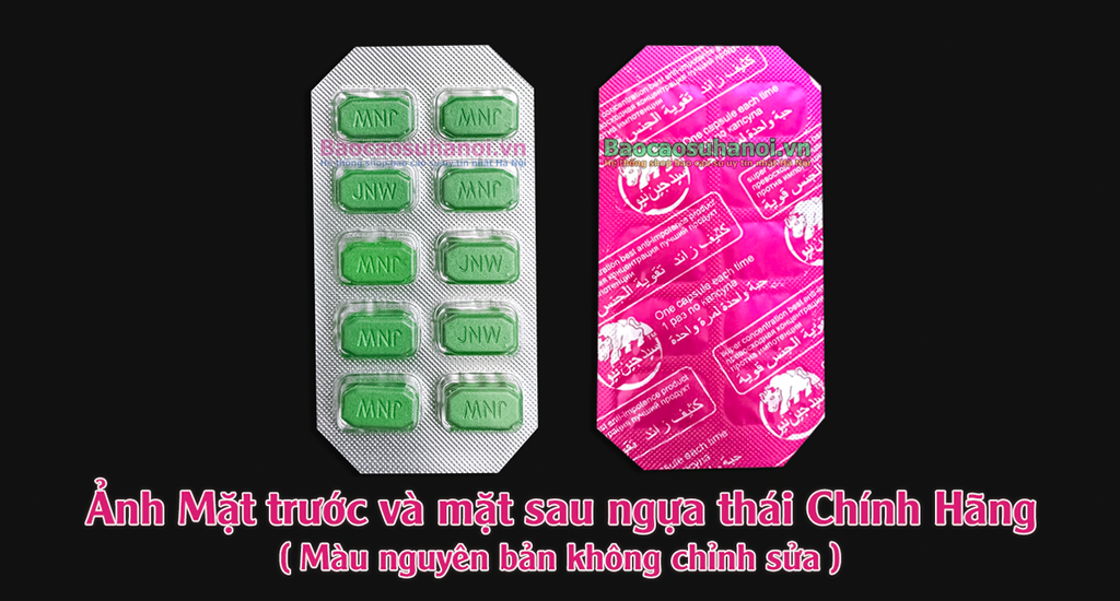 Phân biệt Ngựa Thái Thật Giả