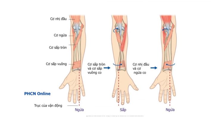 Ngữa hay Ngửa? Gallery 1