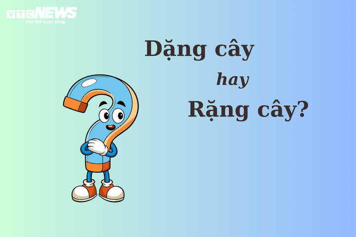 Rặng cây là gì? Gallery 2
