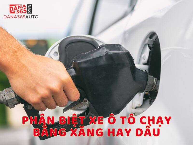 Sang hay Xang? Gallery 1
