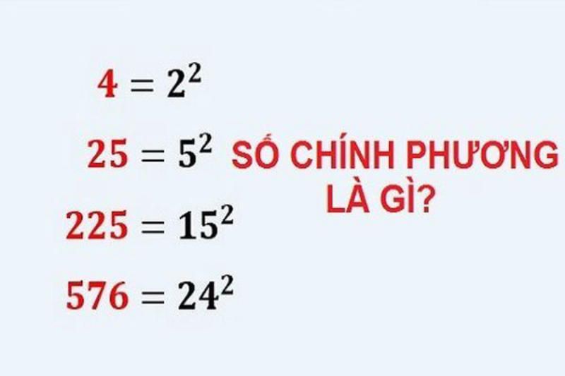 Số Chính Hay Số Chín? Gallery 1