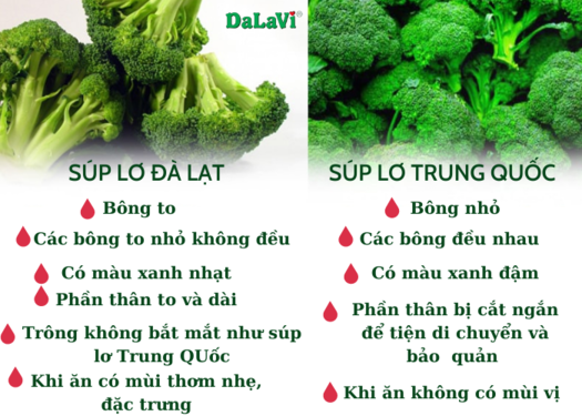 Tai Súp Lơ Là Gì? Gallery 2
