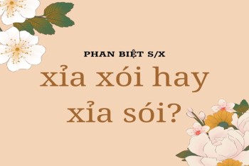 Thấm Thoát Là Gì? Gallery 2