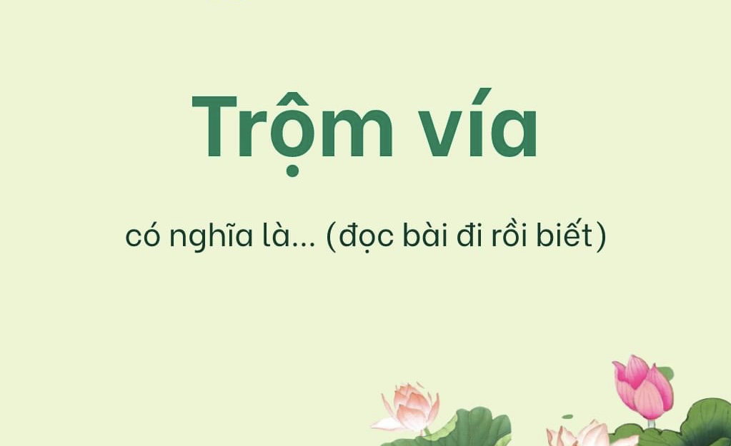 Trộm vía là gì? Giải nghĩa và cách sử dụng đúng Gallery 2