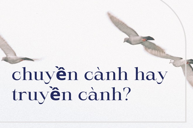 Truyền cành hay chuyền cành? Gallery 1