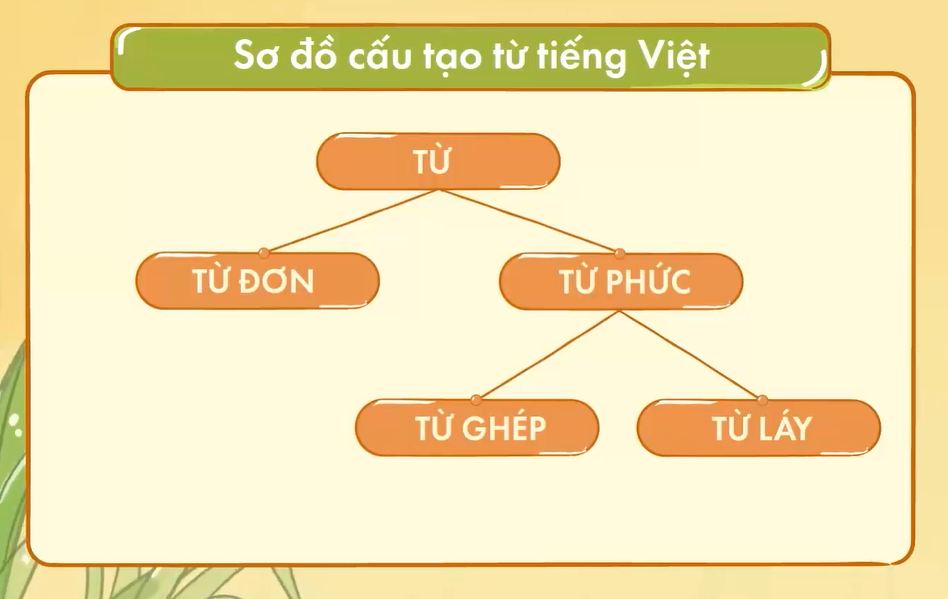 Cách phân biệt từ đơn và từ phức Gallery 1