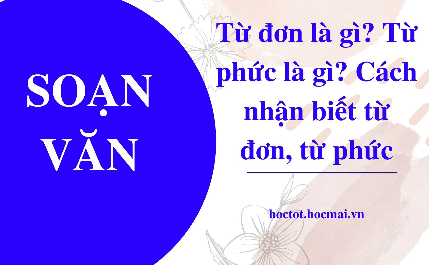 Cách phân biệt từ đơn và từ phức Gallery 2