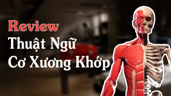 Xương Xương Là Gì? Gallery 2