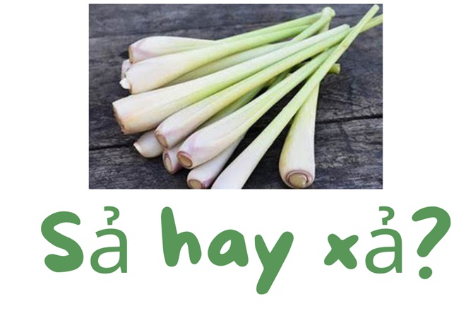Xả hay Sả? Gallery 1
