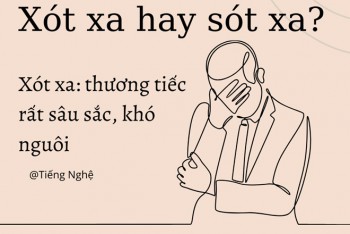 Sỉn hay Xỉn? Cách viết đúng chính tả Gallery 1