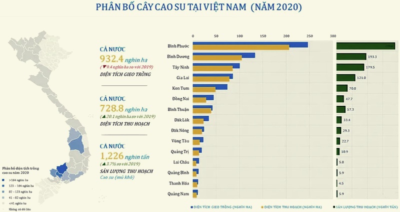 Cây Cao Su Được Trồng Nhiều Ở Đâu Ở Đông Nam Bộ? Gallery 1