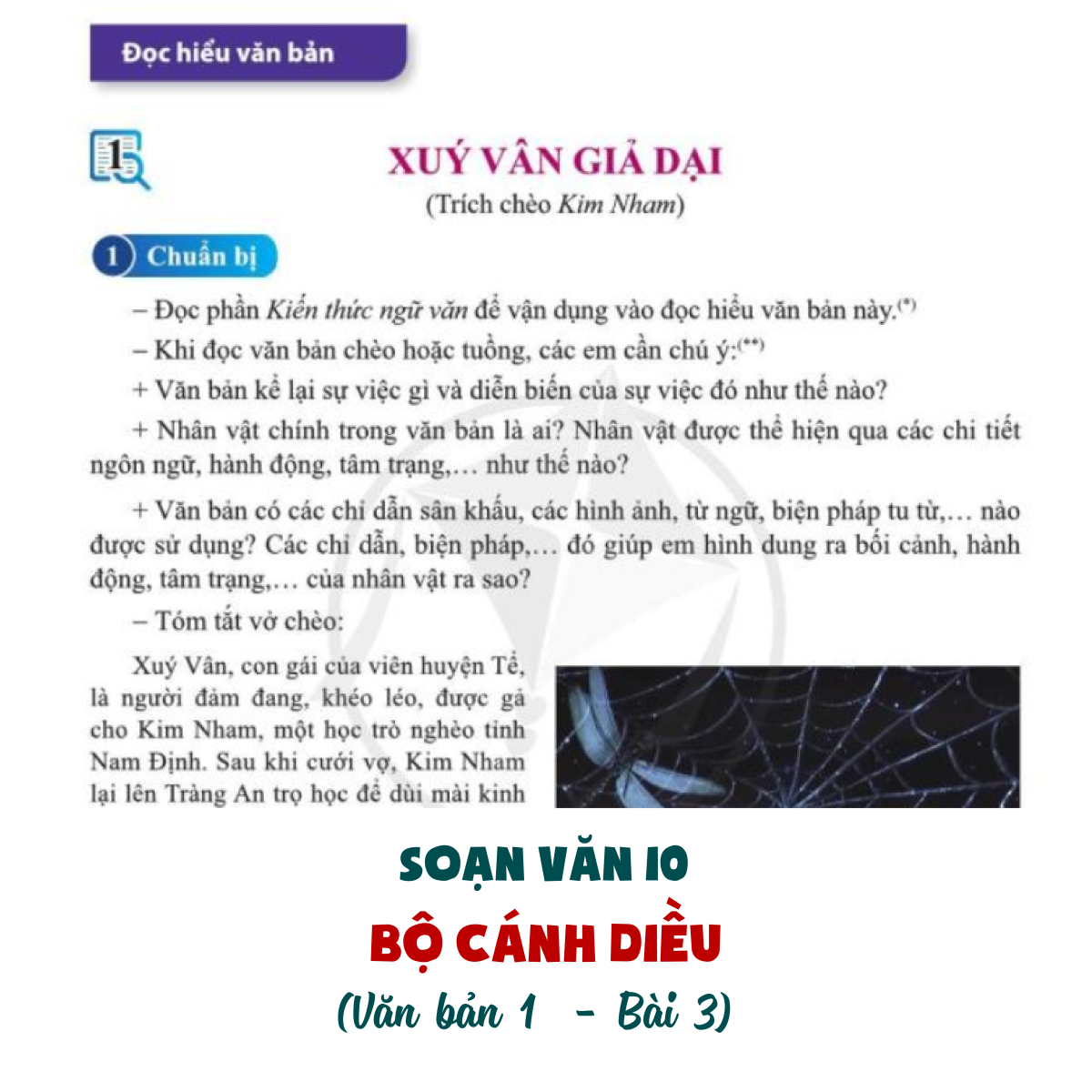 Sủy Vân Giả Dại Gallery 2
