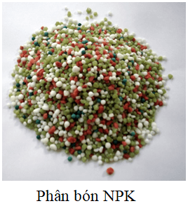 Phân bón kép là gì?