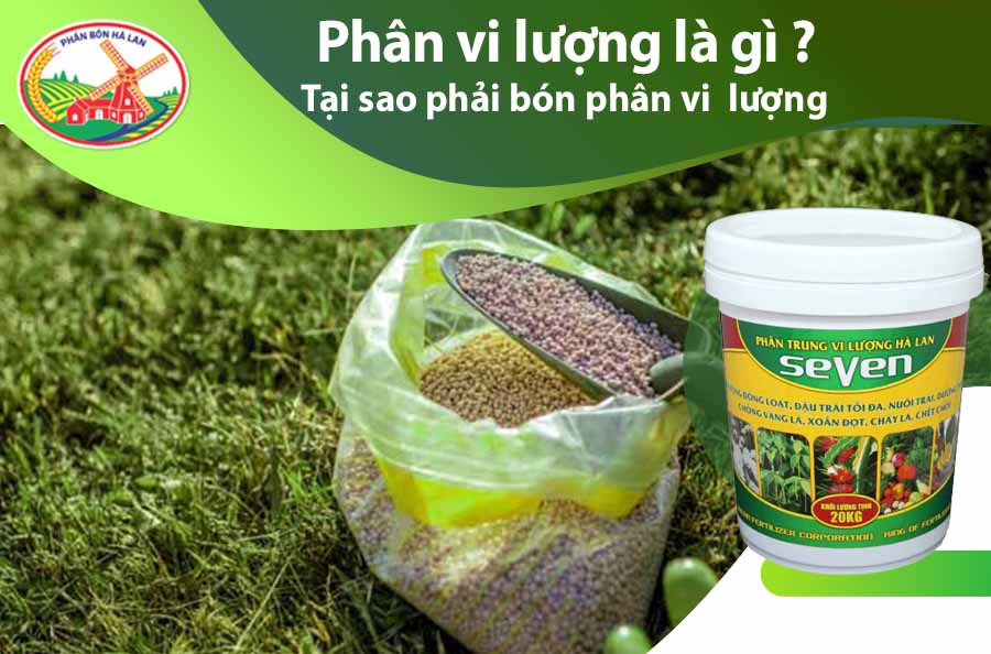 Phân bón vi lượng là gì?