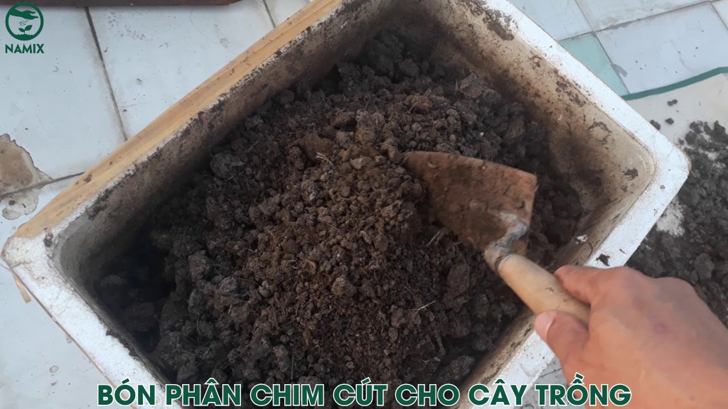 Phân Chìm Hay Nổi Là Tốt? Gallery 1