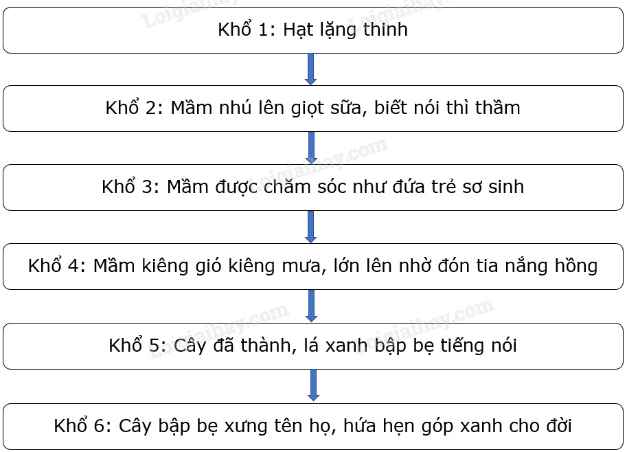 Suy ngẫm và phản hồi lời của cây Gallery 2